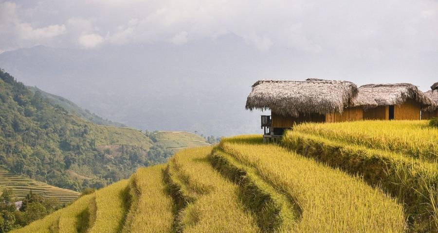 今年家电市场不同厂商的两种活法-家电圈官网
