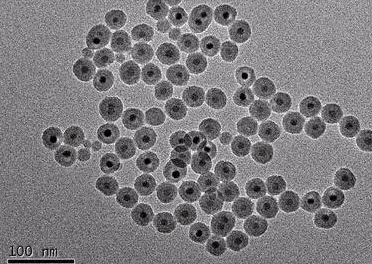 二氧化硅修飾活性生物玻璃多孔生物活性玻璃陶瓷sio2-cao-p2o5-fe2o3