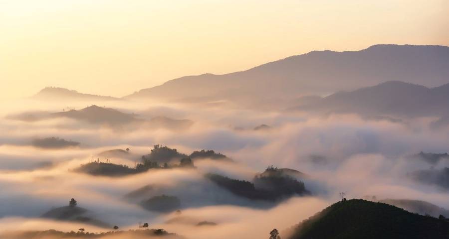 家电业的独木桥与家电企业的阳关道-家电圈官网
