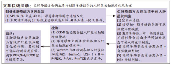 肝功化验转氨酶偏高有什么症状_肝功能不好的症状是什么_肝功能损坏症状