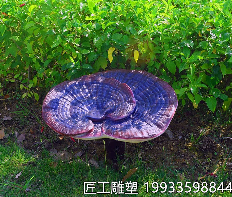 玻璃钢仿真灵芝雕塑 仿真植物药材模型雕塑_文化_艺术品_内涵