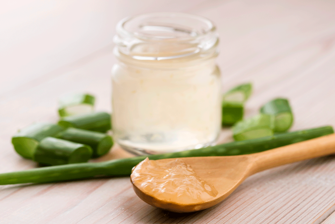 润肠通便芦荟苷在人体内肠道菌群的作用下,可转化成芦荟大黄素怂 