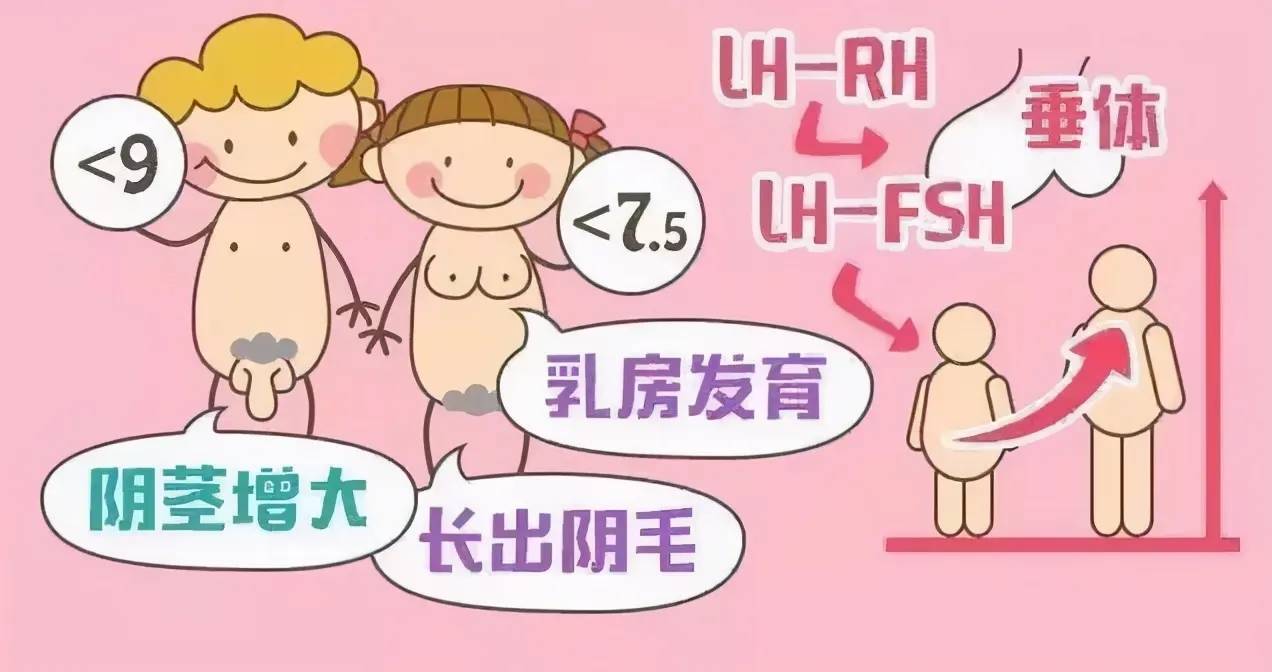 女孩_男孩_部分