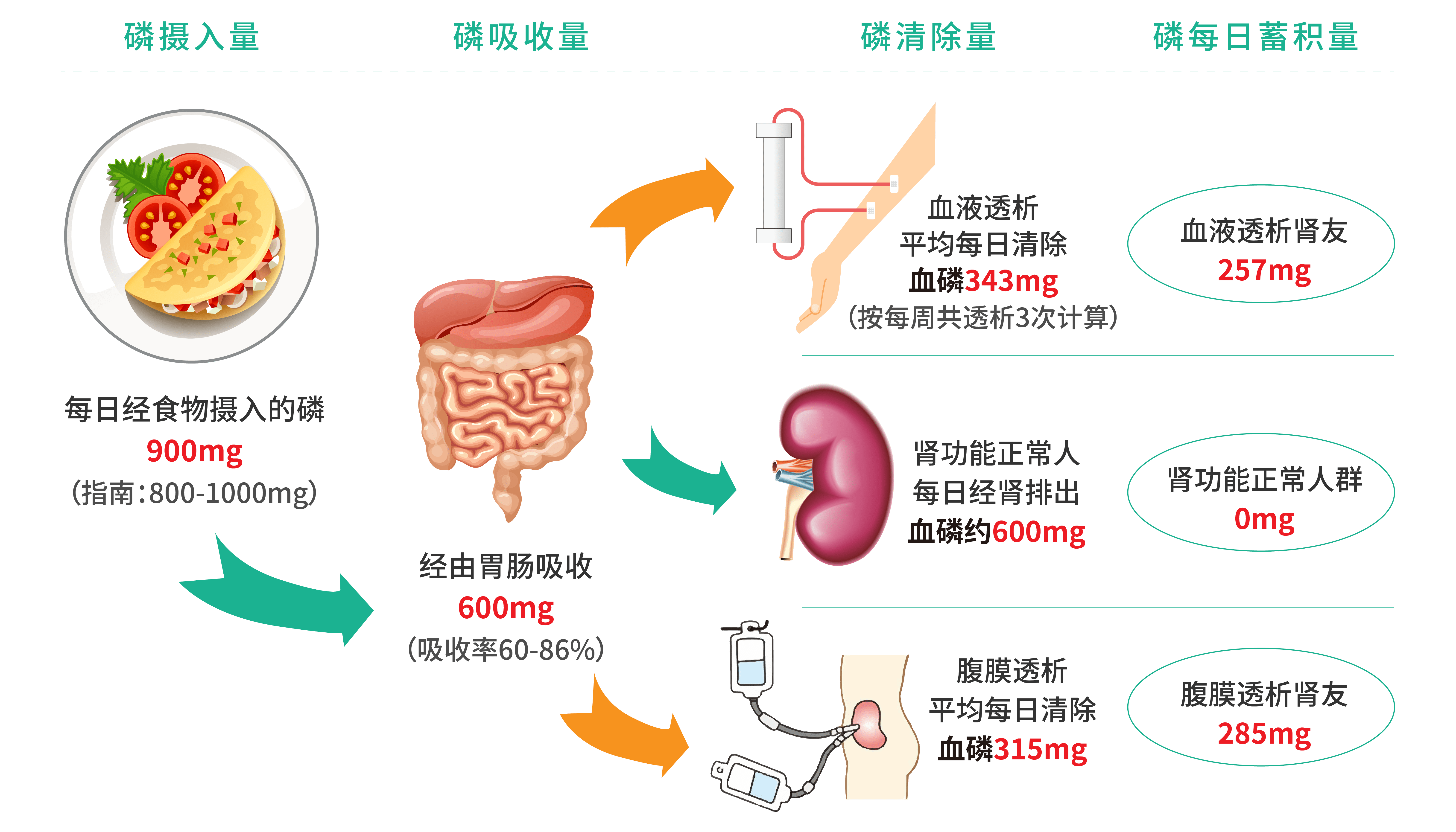 透析患者入门课:进入透析了,不先认识高磷么?