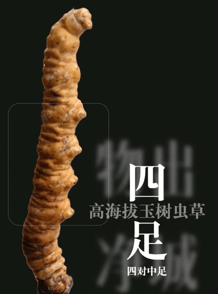 黑色冬虫夏草多少一包图片