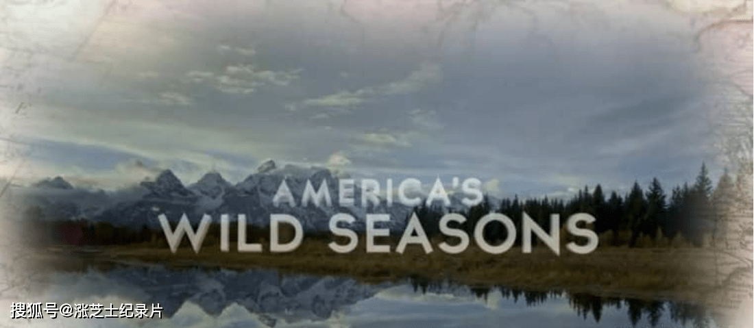 9188-加拿大纪录片《美国荒野的季节 America’s Wild season 2019》英语中英双字 官方纯净版 1080P/MKV/13G 野生动物故事
