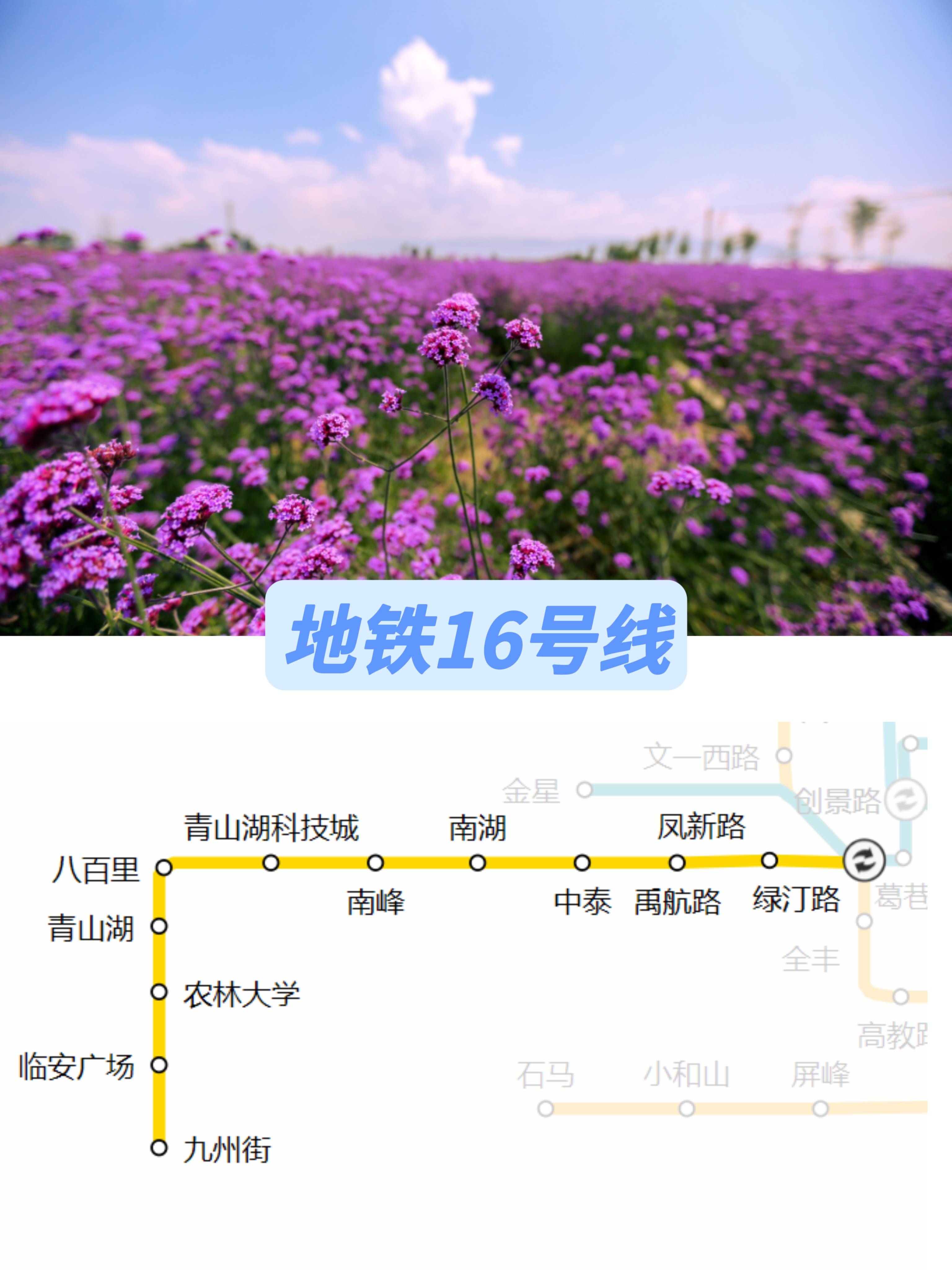 15大运河站～拱宸桥15蒋村站～西溪湿地15良睦路站～梦想小镇1