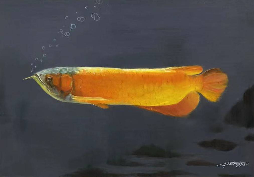 2019年其多副作品在法国巴黎美术馆展出,参加竞拍活动,其中红金龙鱼被