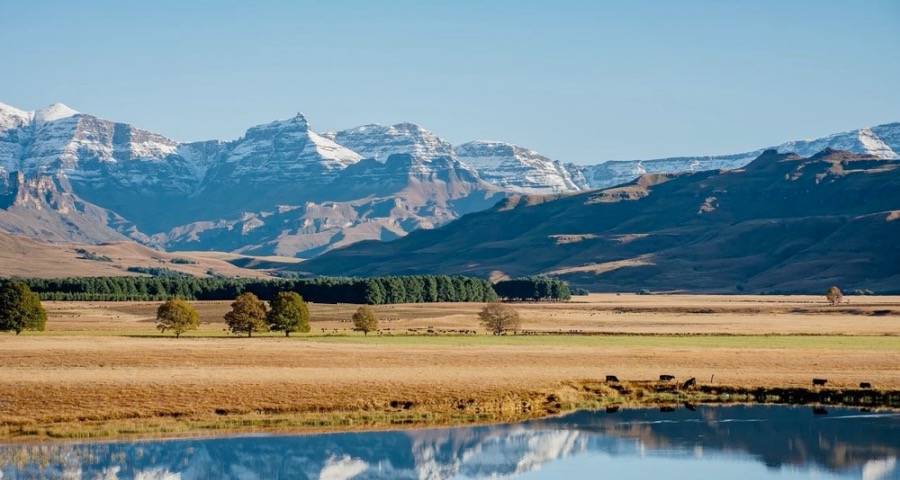 家电业迎“年中大考”：海尔美的TCL长虹扩版图，京东苏宁抢用户-家电圈官网