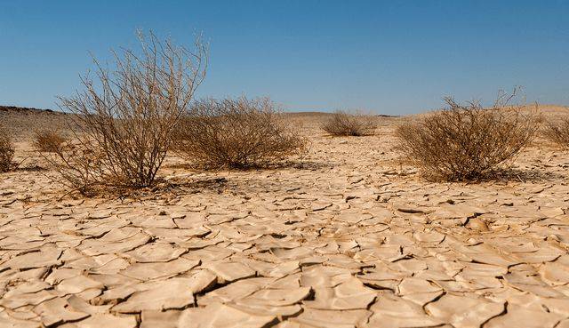 世界防治荒漠化和干旱日 | 微信投票方案为你送上!