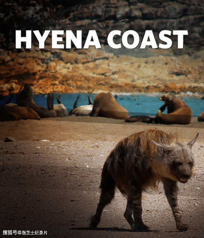 9562-国家地理《棕鬣狗的海岸 Hyena Coast 2014》英语中字 720P/MP4/537M 棕鬣狗研究