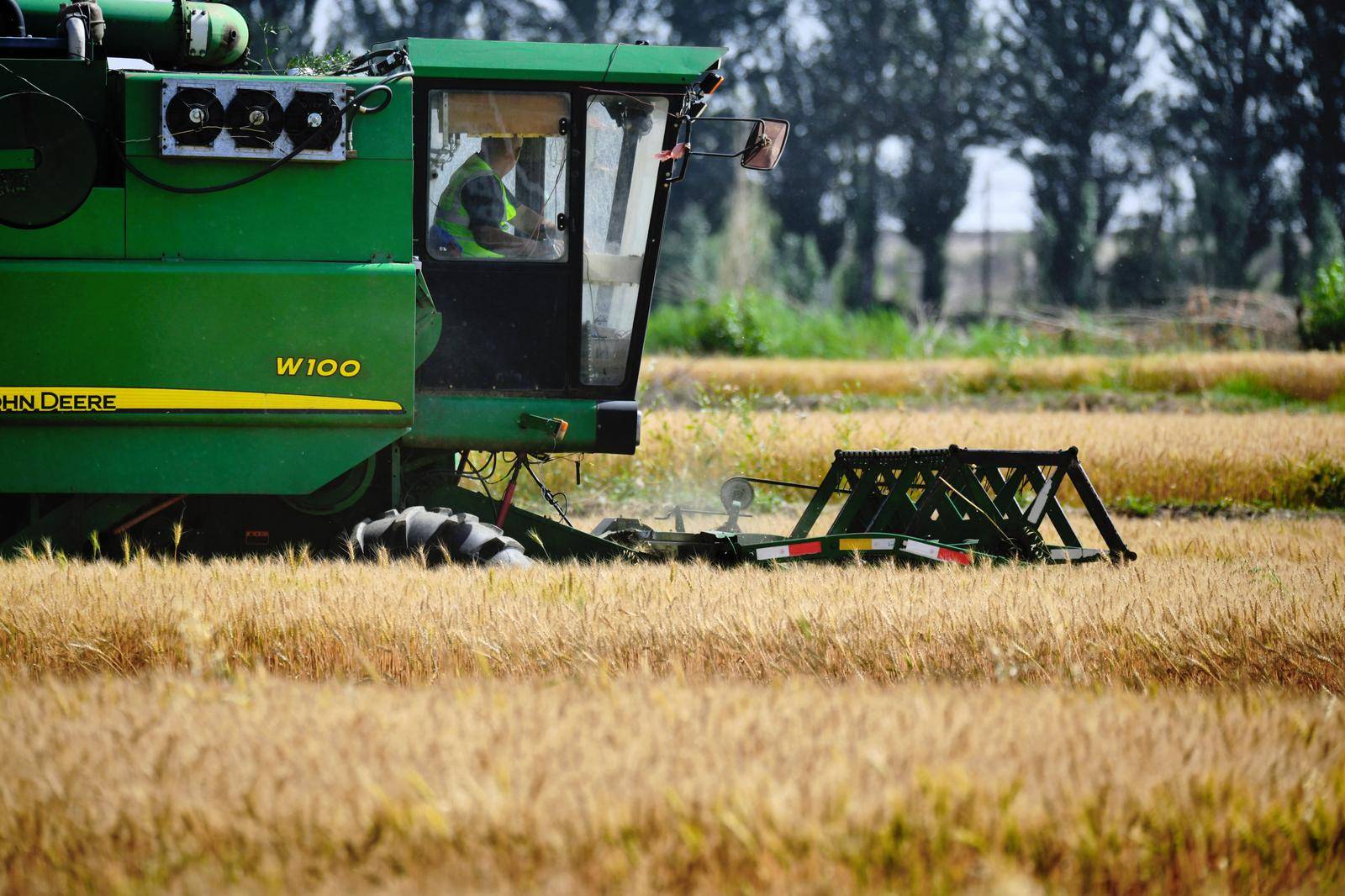 组图| 麦浪随风,浩瀚万里~_麦田_收割机_小麦