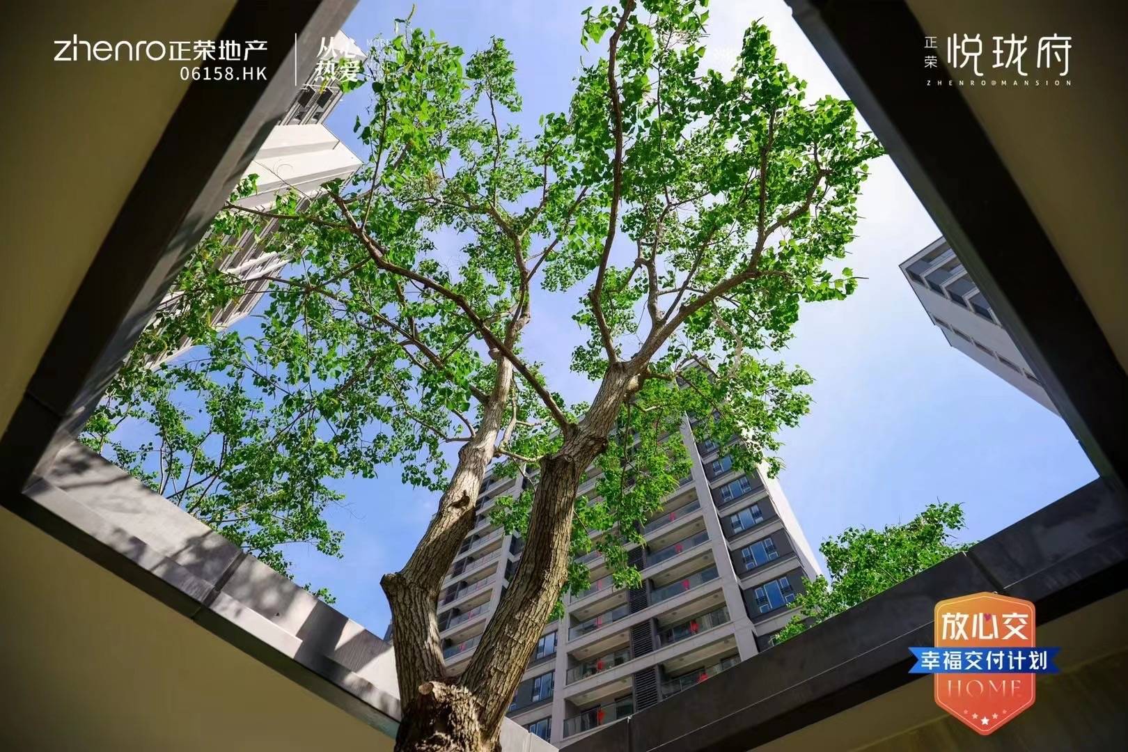 多方协同推动"保交楼" 上海正荣悦珑府顺利交付_业主_项目_建设