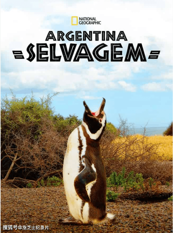 10044-国家地理《野性阿根廷 Wild Argentina 2017》全3集 英语中英双字 官方纯净版 1080P/MKV/7.32G 阿根廷多样动物