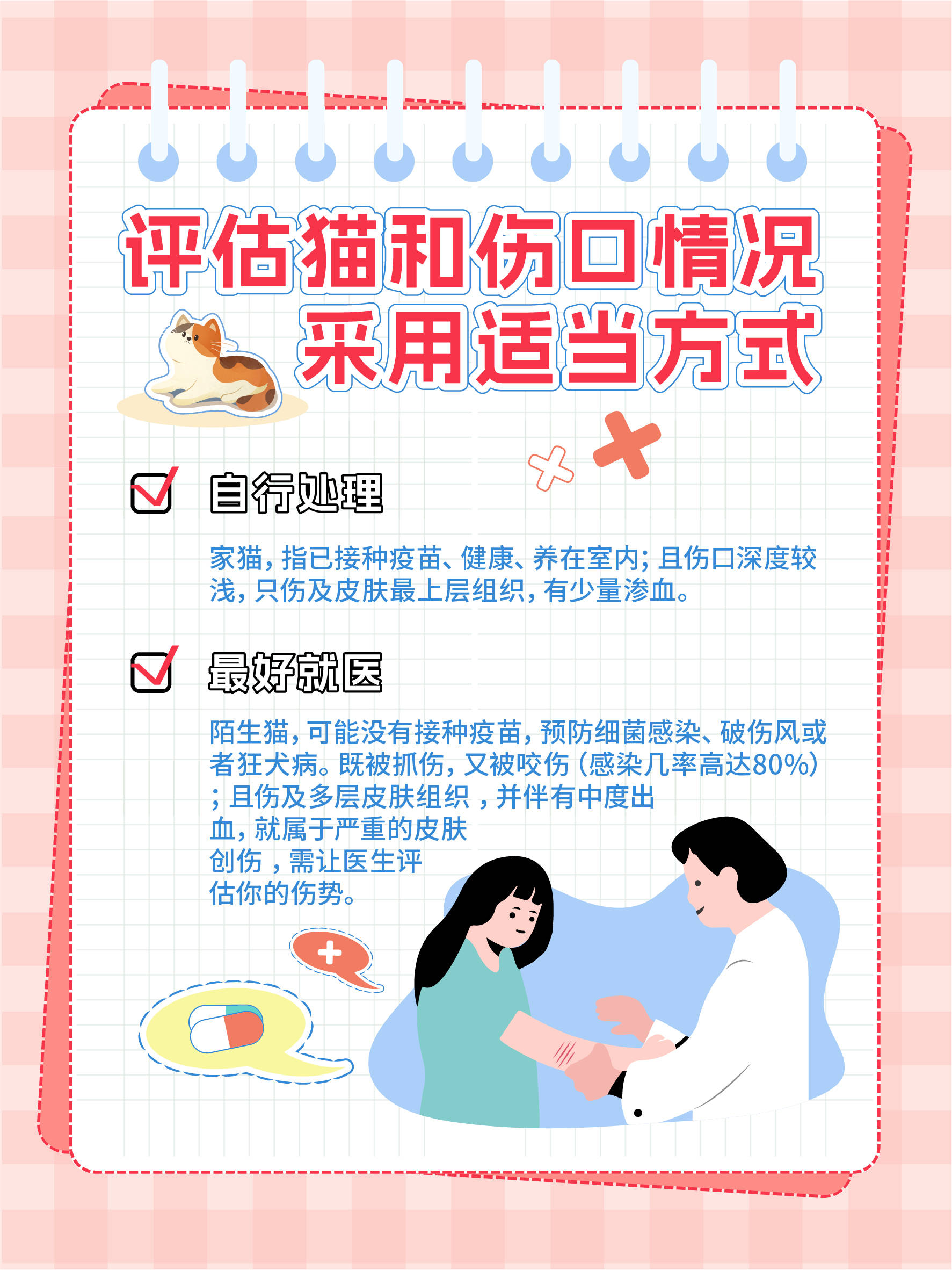 血泪教你,如何处理猫抓伤~-搜狐大视野-搜狐新闻