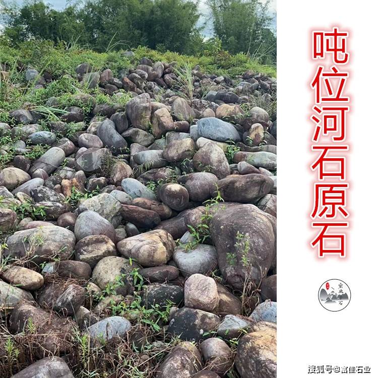 广东河石状似鹅卵石,吨位河石一吨多少元?搜狐大视野搜狐新闻