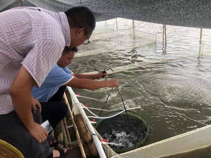 急！水生生物病害防治员证书怎么考取？证书好考吗？报考条件有啥？考试多少钱