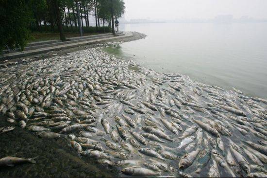 水生生物病害防治员证书怎么报名？证书含金量高吗？报考流程有什么？有什么用