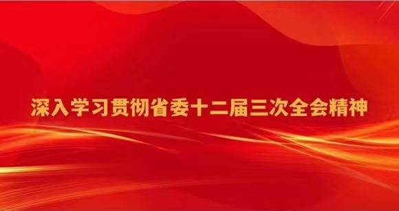 中国农业银行宜宾分行开展2023年办公室条线专业知识培训