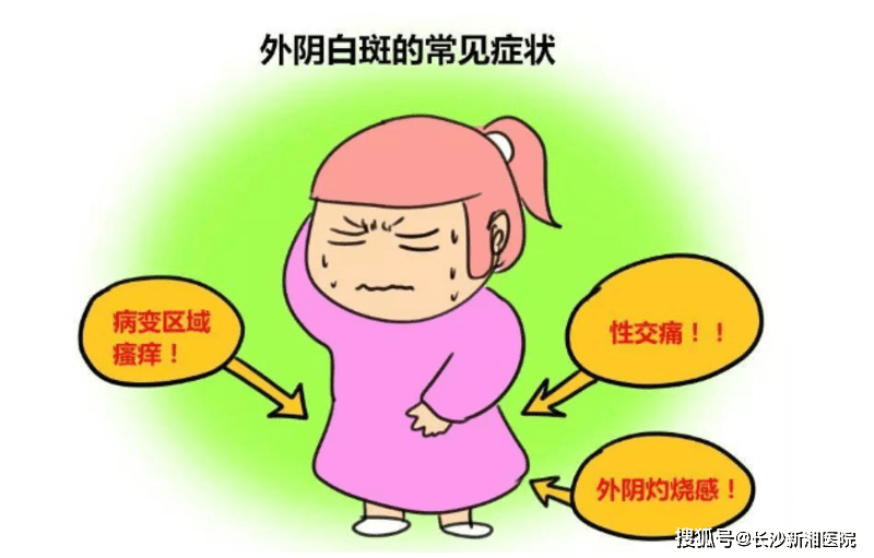 来自搜狐网