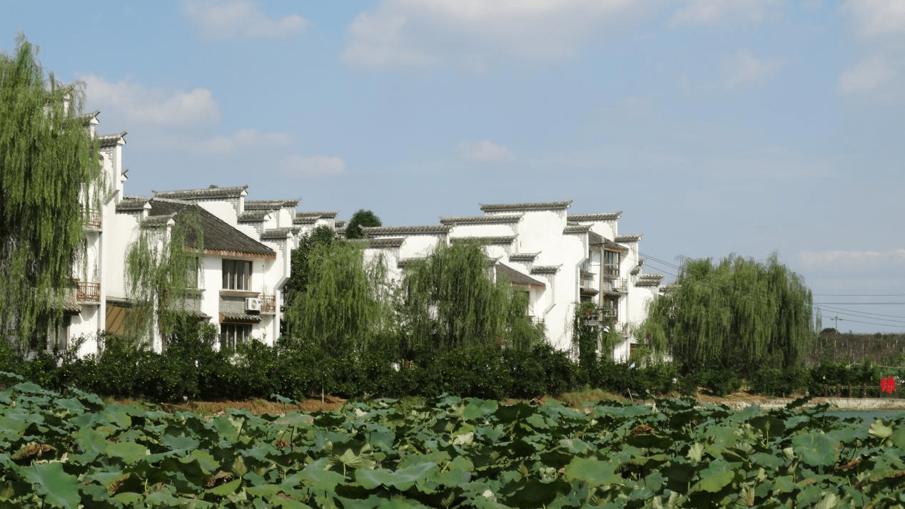 到成都蒲江走一走_旅游_乡村_游客