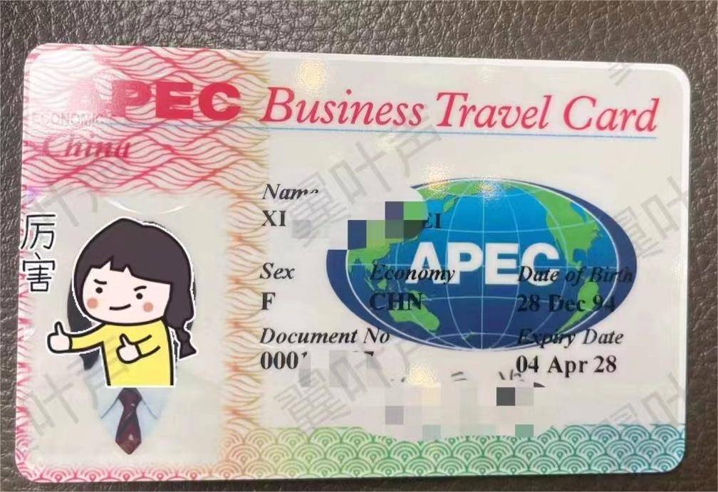 apec卡 避免所有拒签,通关风险_中国_经济体_签证