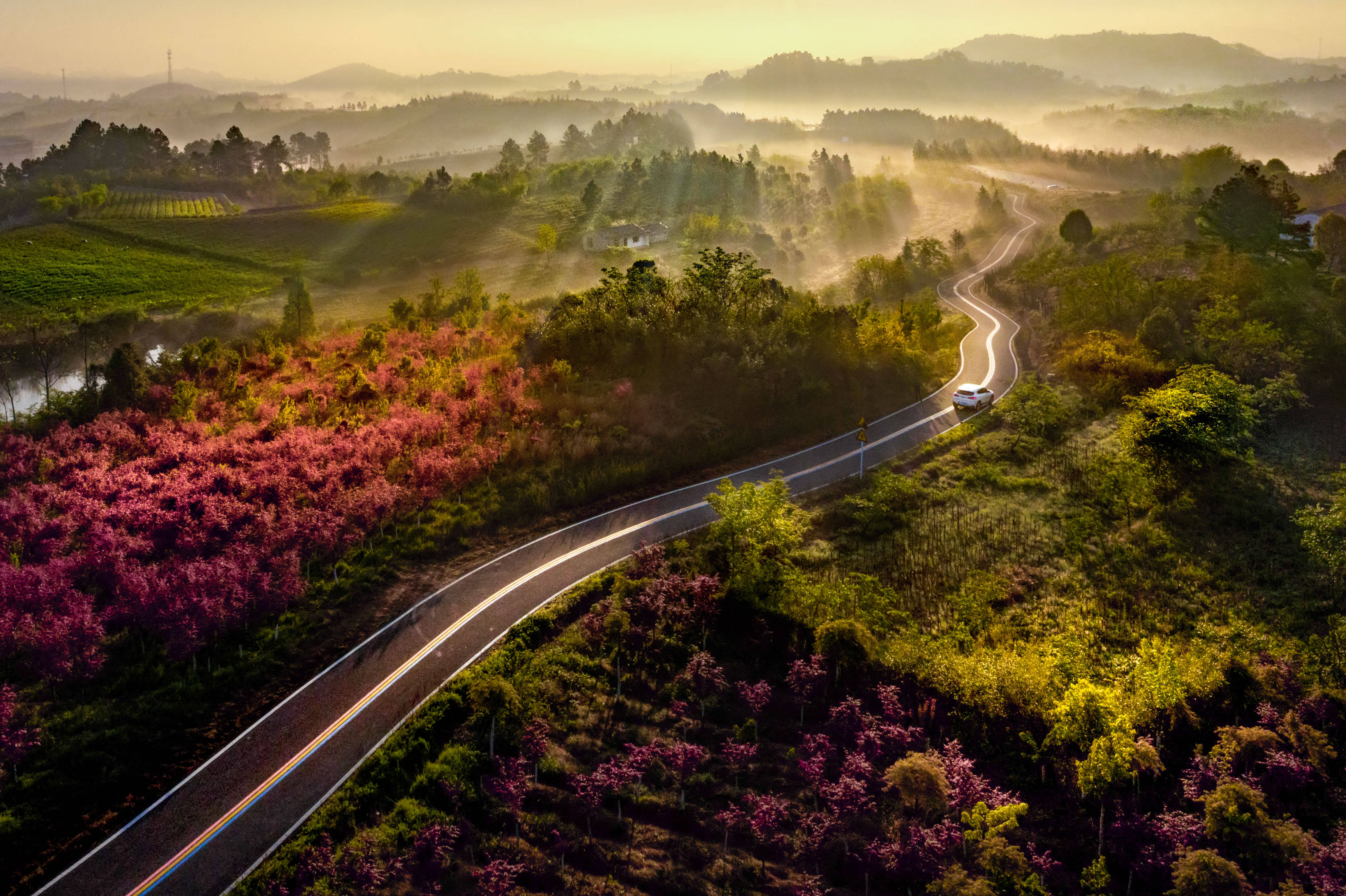 在唯美的1号公路,跑一场江苏最美的马