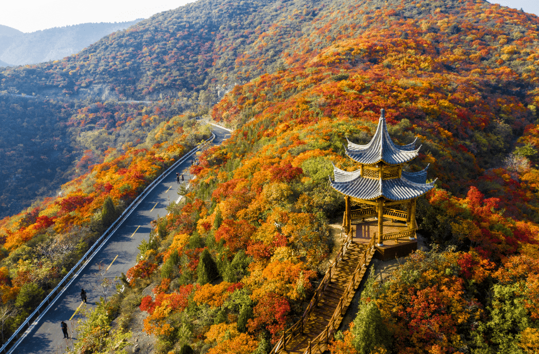 秋意渐浓,太原龙山红叶观赏攻略带你领略层林霜染暗红枝的景象