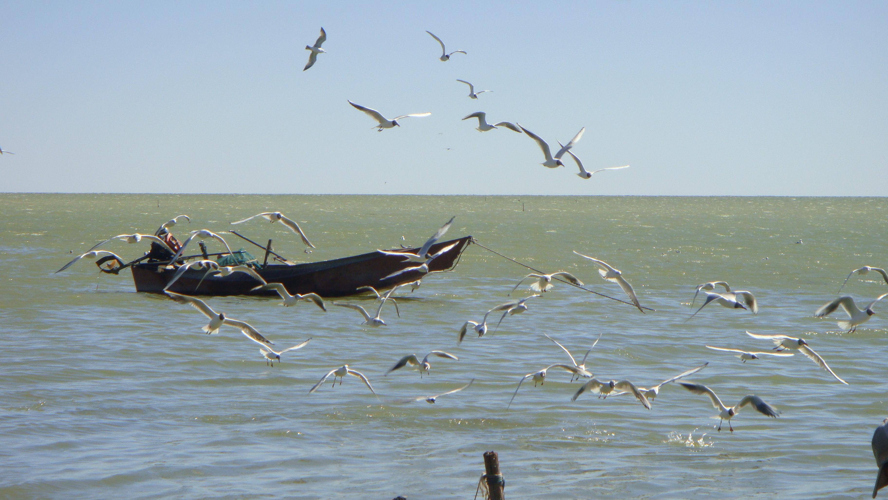 略论呼伦湖称谓的历史变迁问题_呼伦贝尔市_古人类_遗址