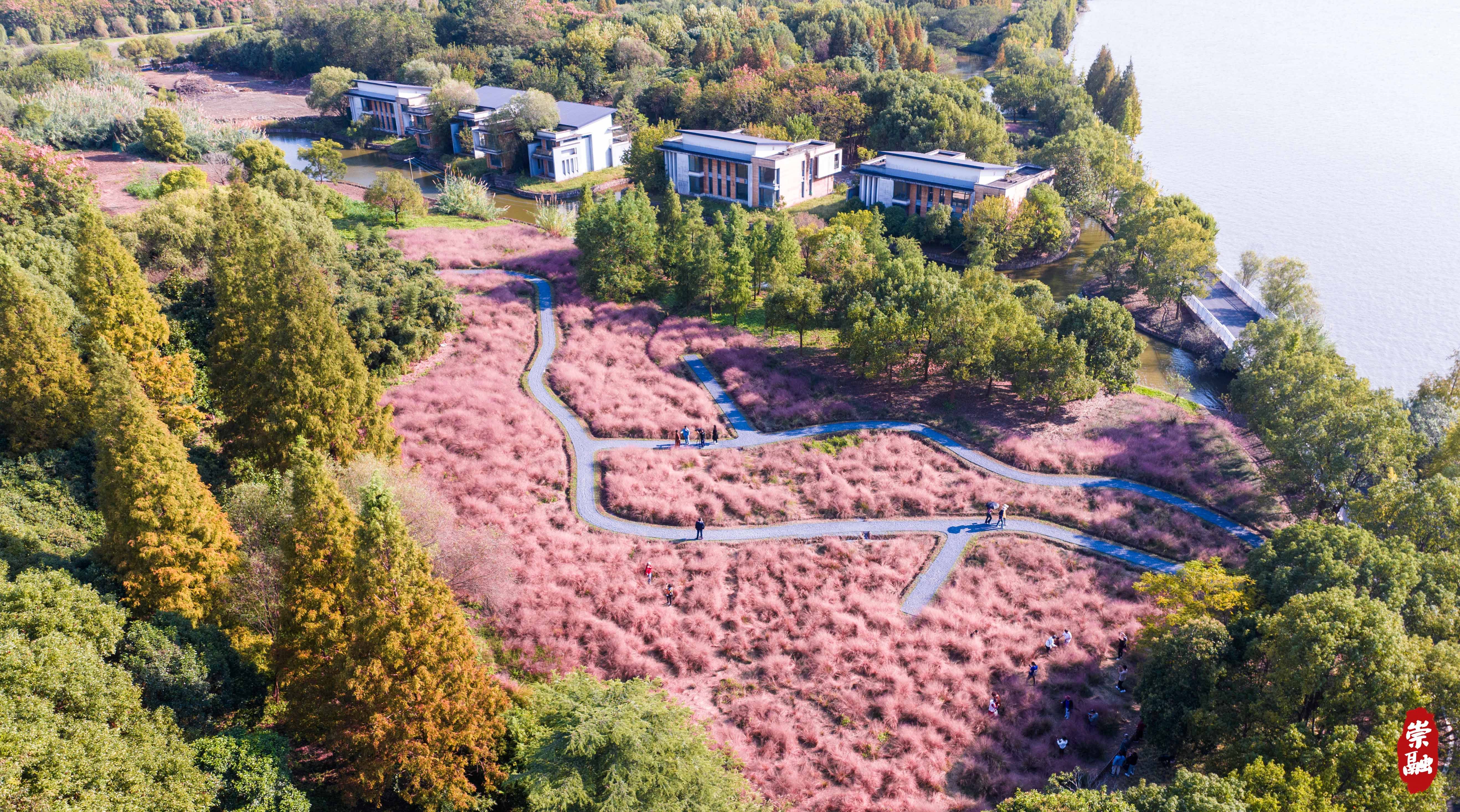 和美乡村休闲文旅综合体