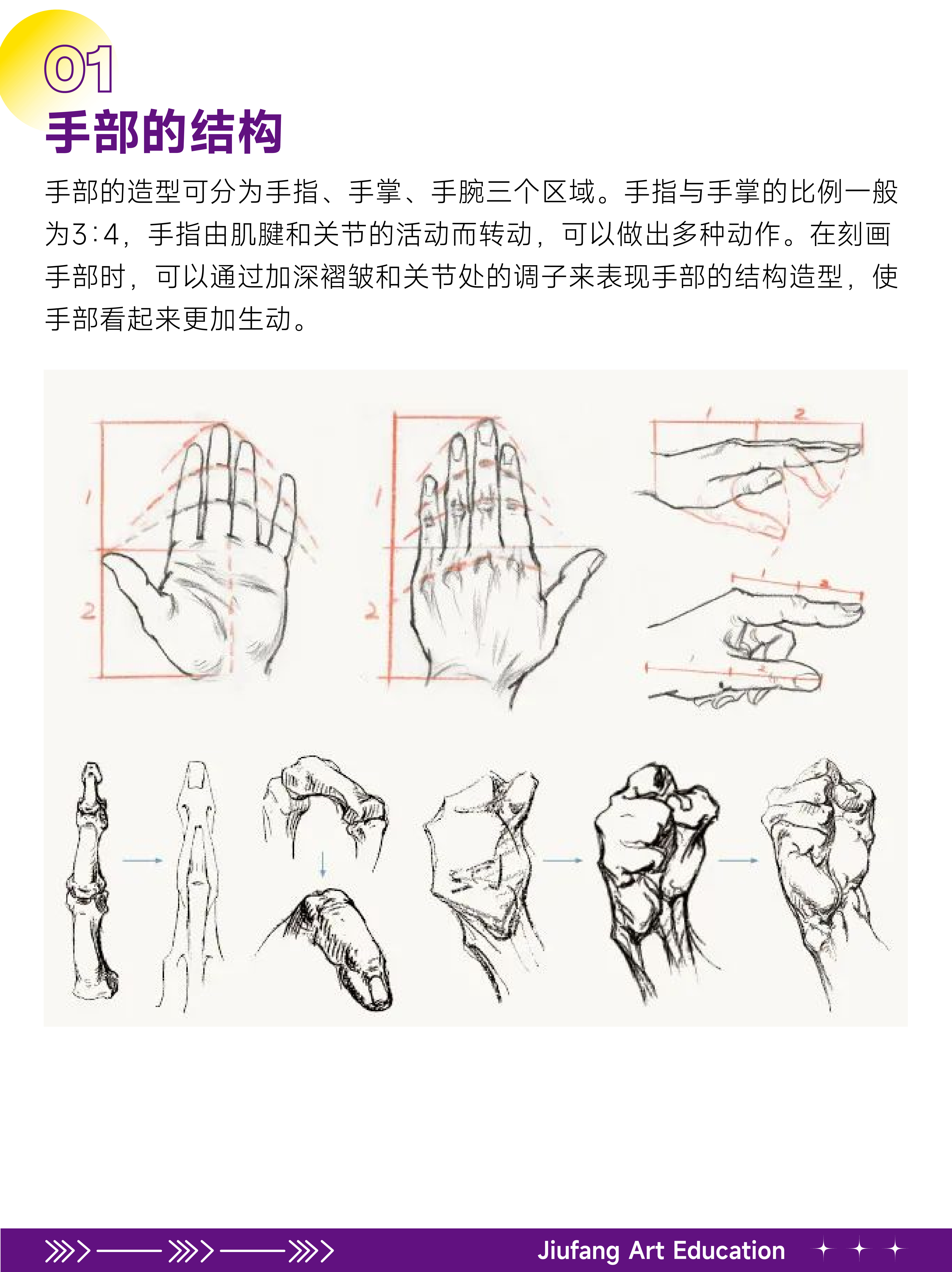 九方艺考| 速写局部手部的刻画_手指_变化_规律
