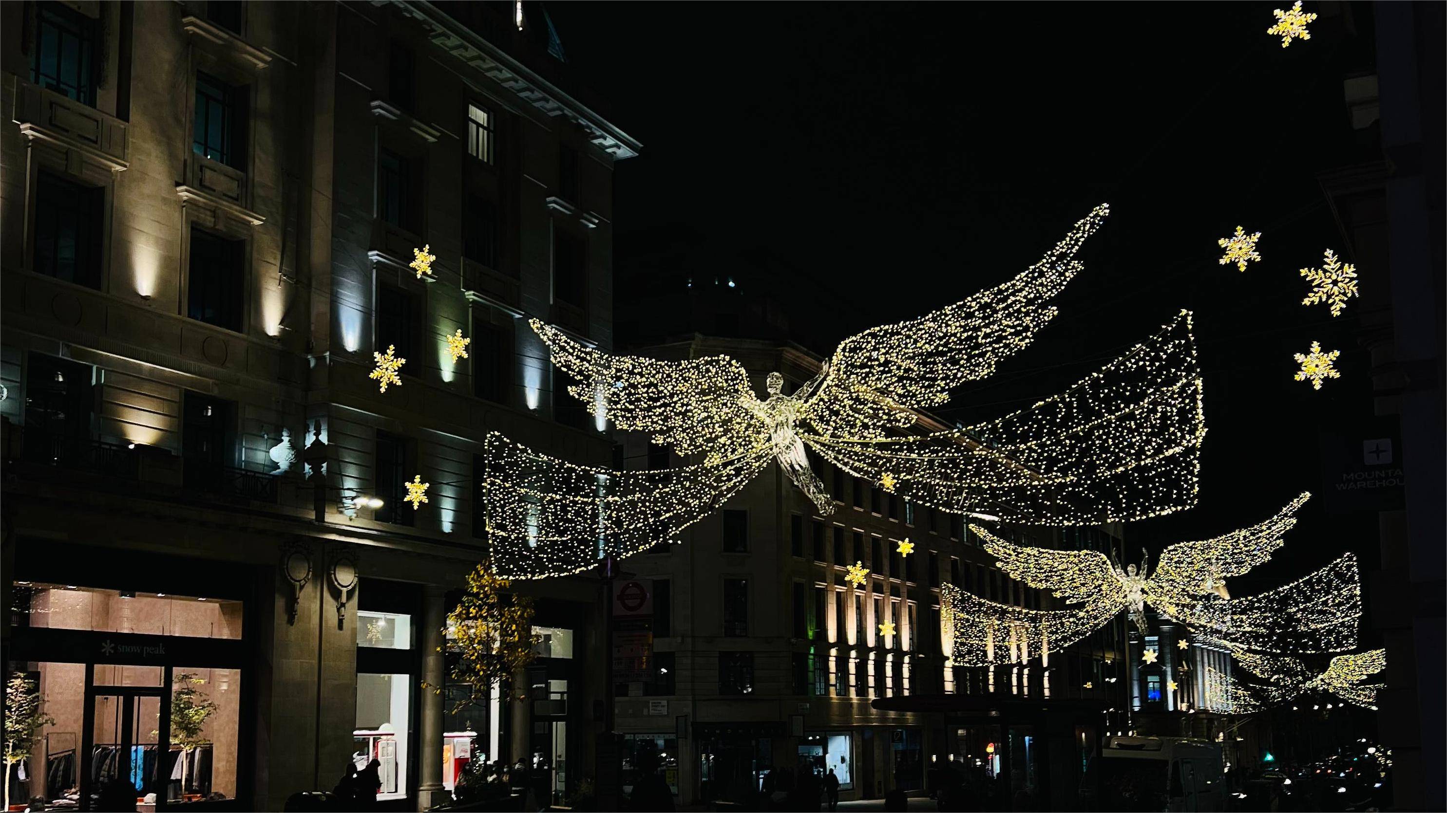 圣诞季开始!_london_邱园_时间