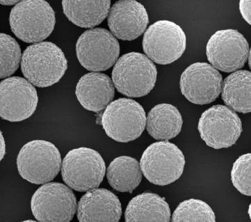 aeromonas hydrophila-蛋白微球|复方磁性白蛋白微球_产品_检测_进行