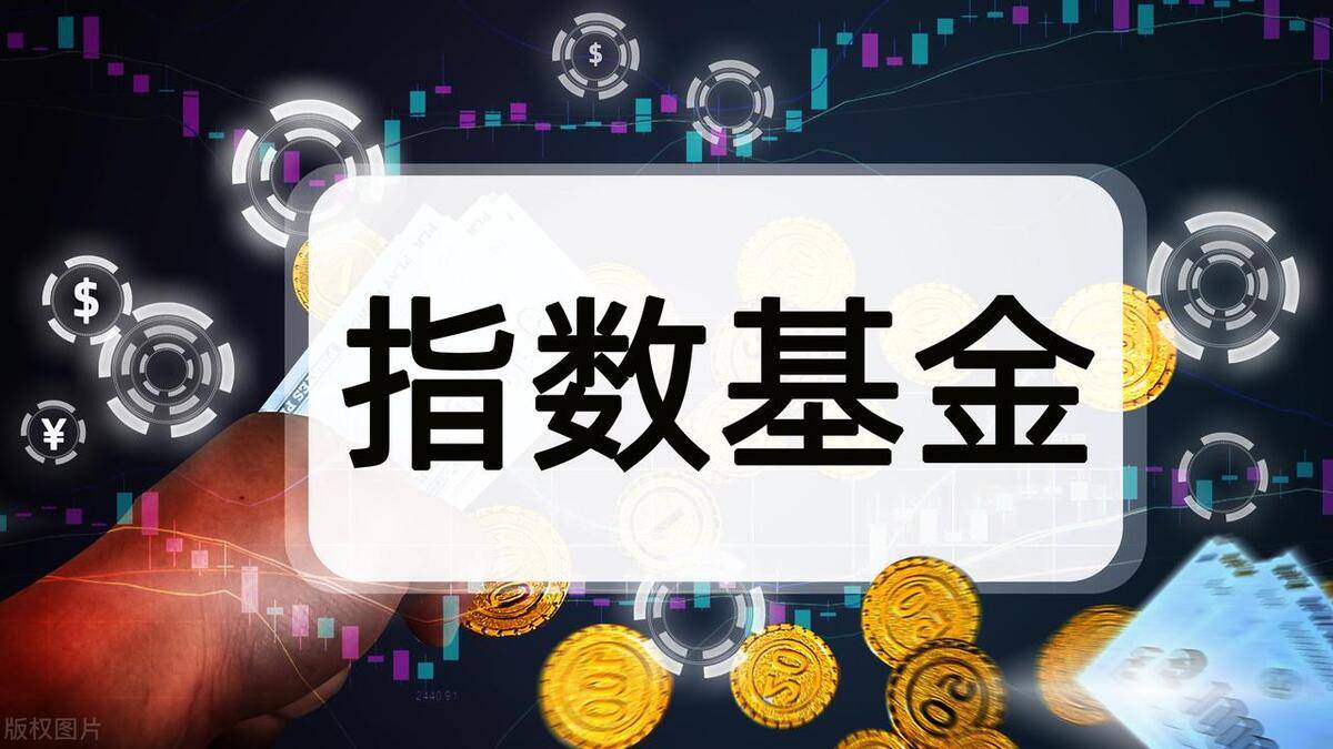窄基指数基金有哪些？哪些窄基值得长期定投？_搜狐网