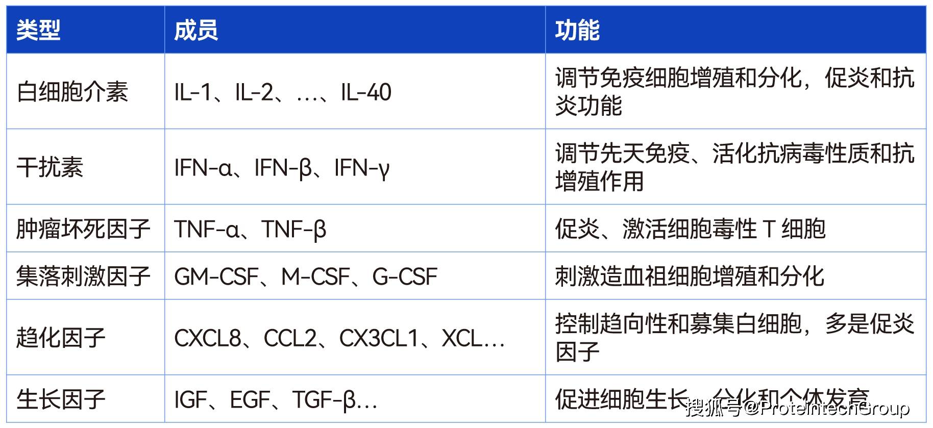 干扰素分类图片