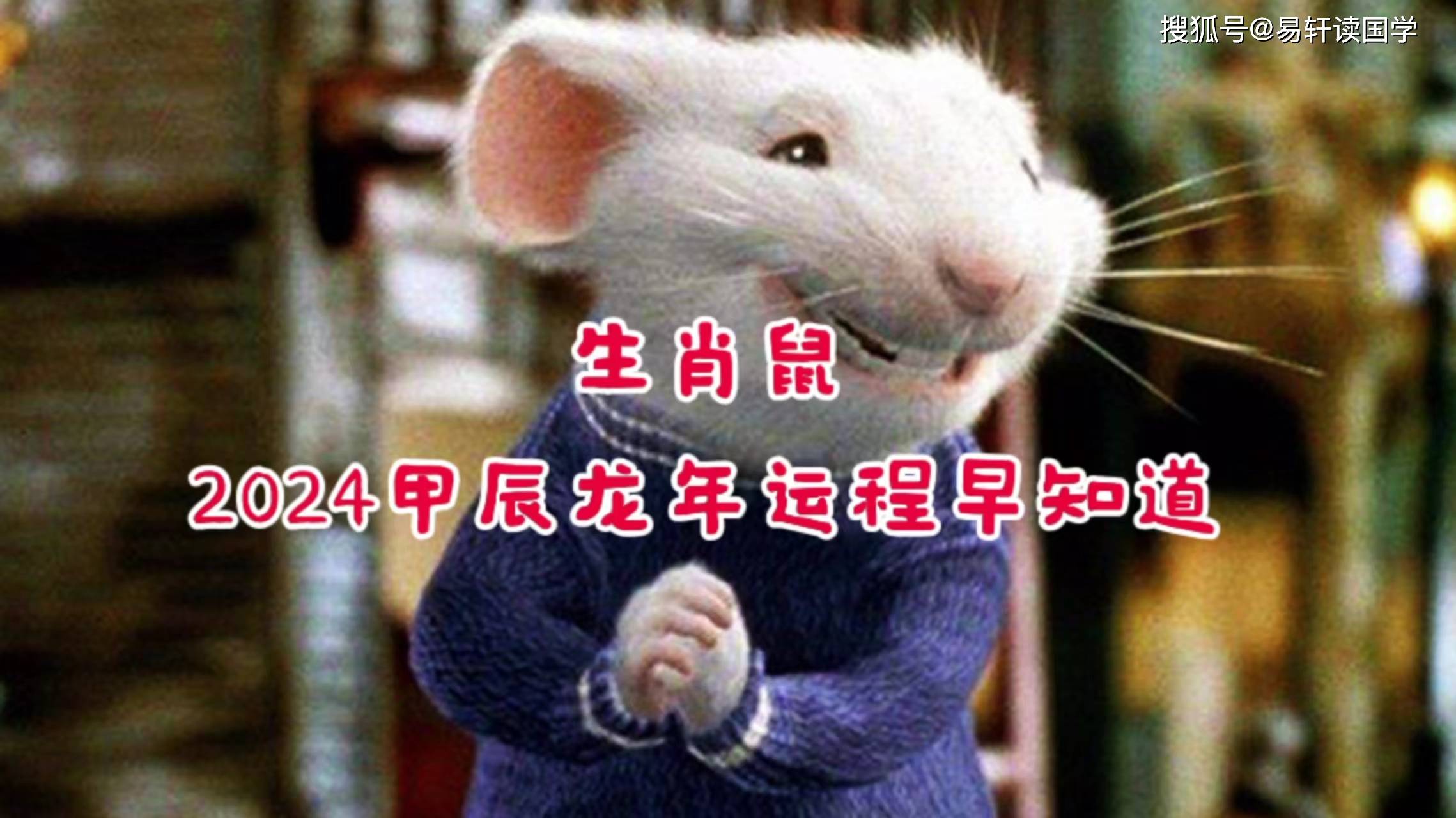 22年生肖鼠运势(二o二一年生肖鼠运势)