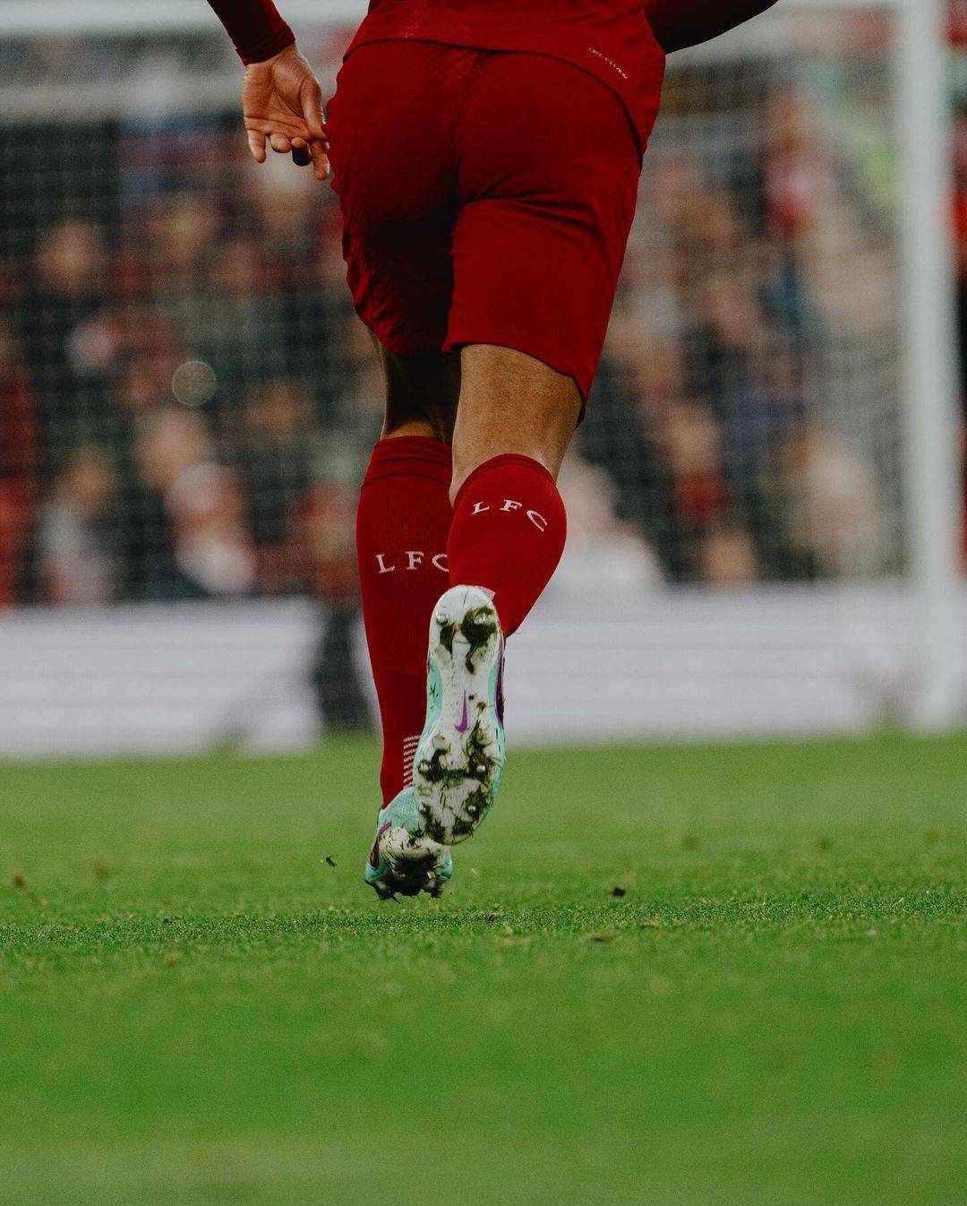 利物浦人物志『范戴克』_防守_英超球队_中后卫