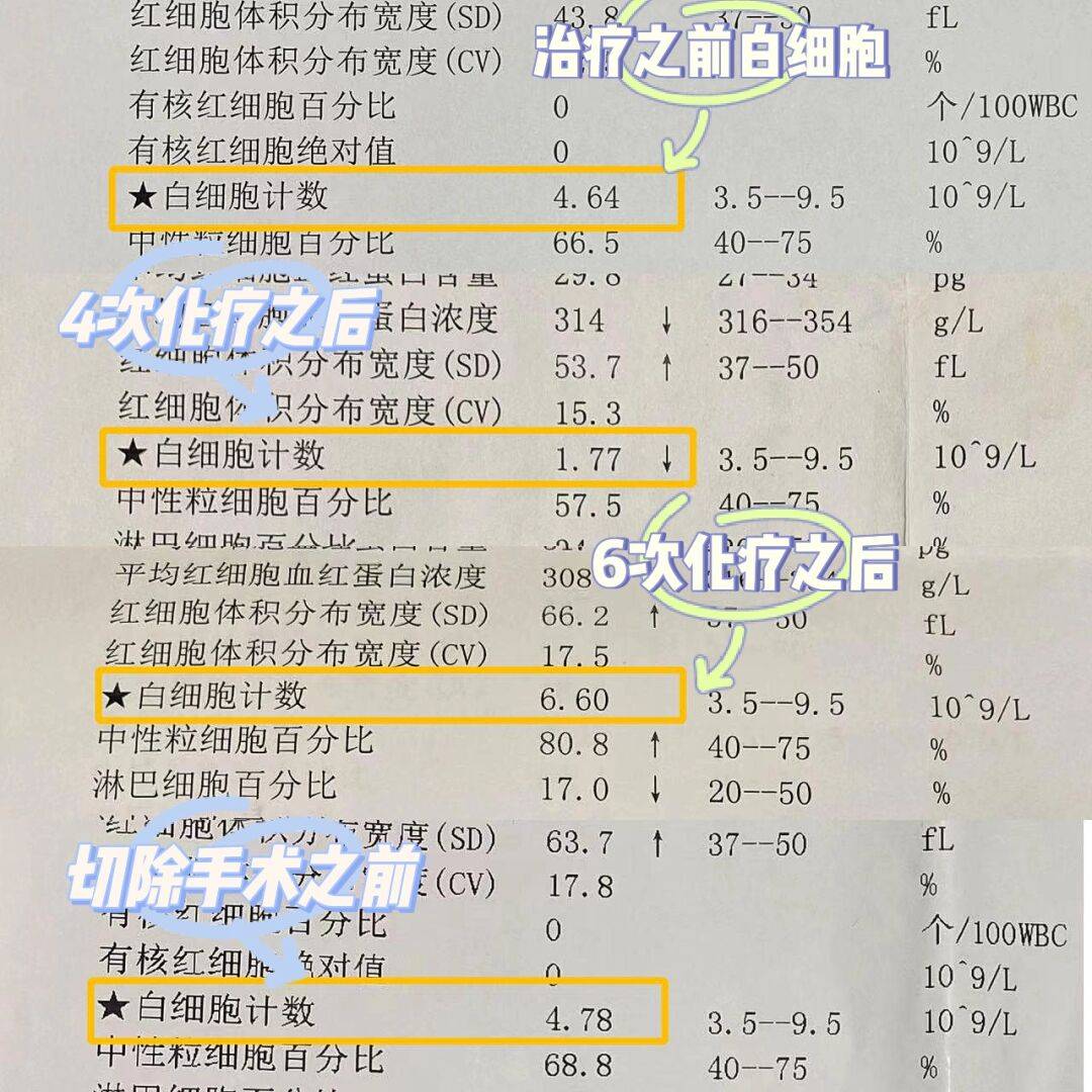 化療期間白細胞低怎麼辦,血小板降低怎麼辦?_媽媽