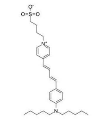 伯戊基结构式图片