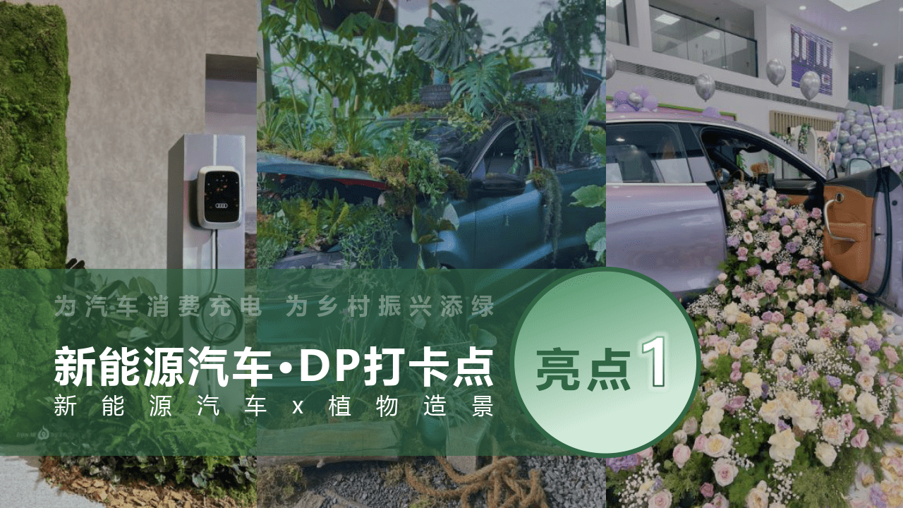 新能源汽车下乡主题活动方案（附下载）_搜狐汽车_搜狐网