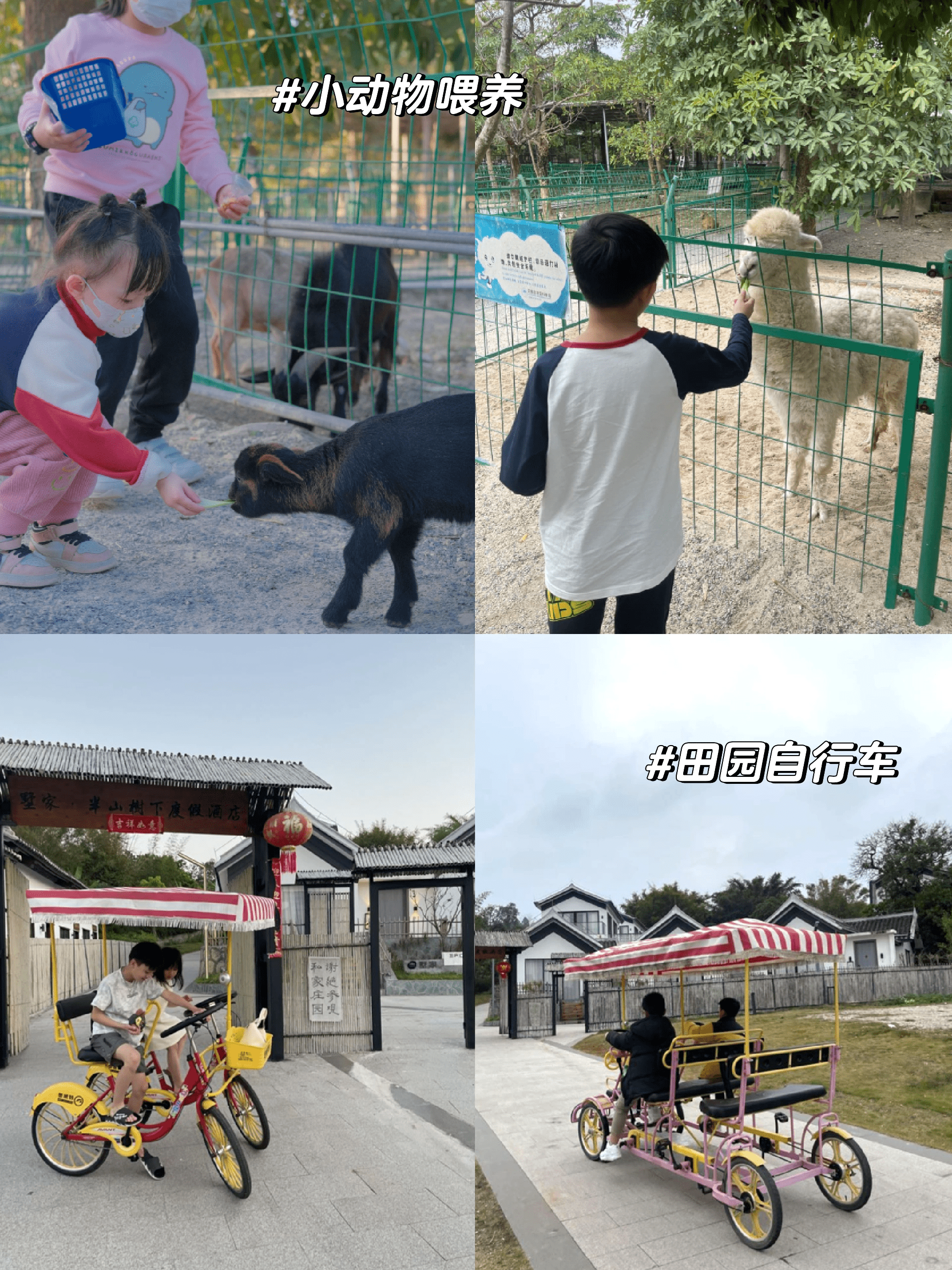 惠州摘草莓地圖攻略 鄉野ins風度假_價格_地址_廣東省