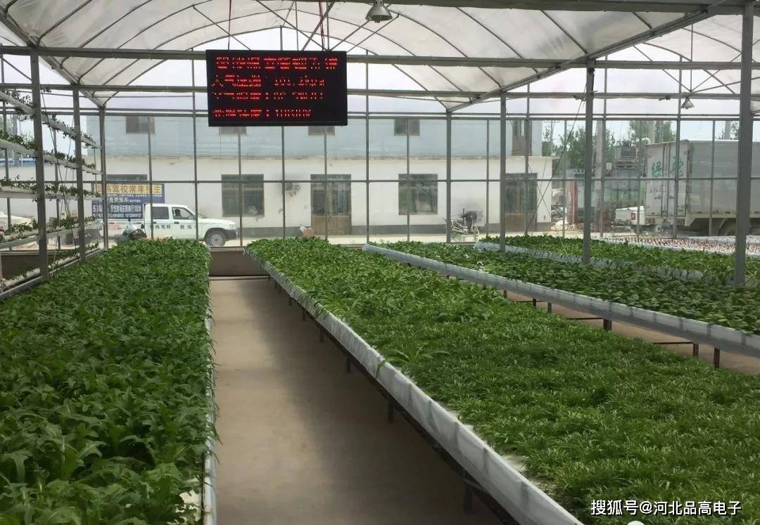 农业电子商务食品溯源_智慧农业物联网技术_白色农业
