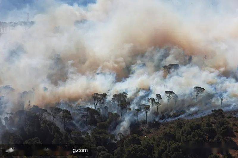 科普森林火灾危害知多少