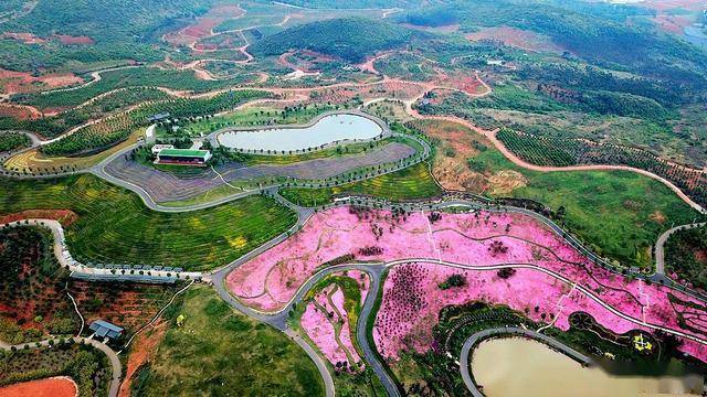 航拍:太平湖畔,欣赏大地艺术景观的绝佳之地