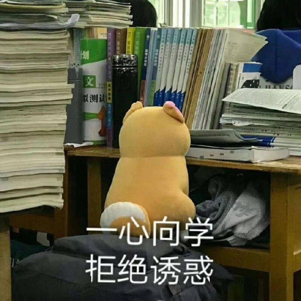 英语保研系列课北外高翻学姐带你了解外语类专业保研北外上外外交学院
