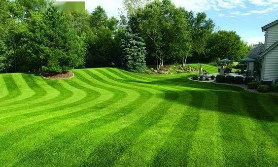 绿化养护草坪修剪全攻略