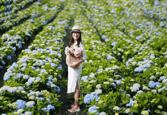 640_440gif 动态图 动图
