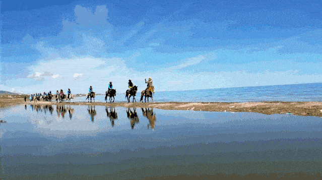 639_357gif 动态图 动图