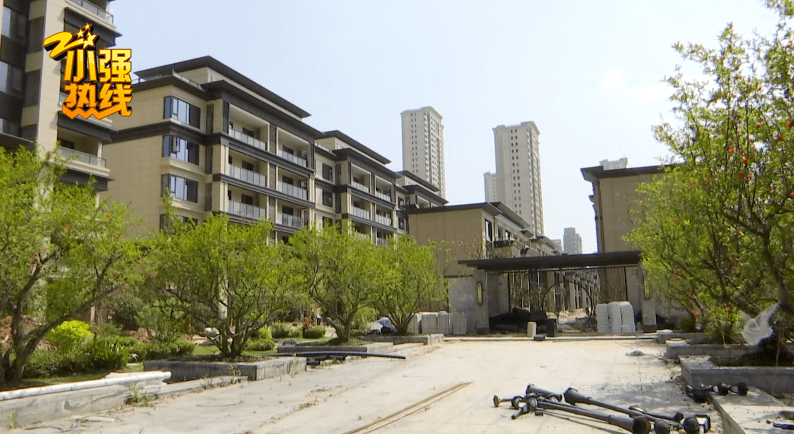 原本3月交付的华董城中府目前延期交房,业主们表示,工程暂停,疫情只是