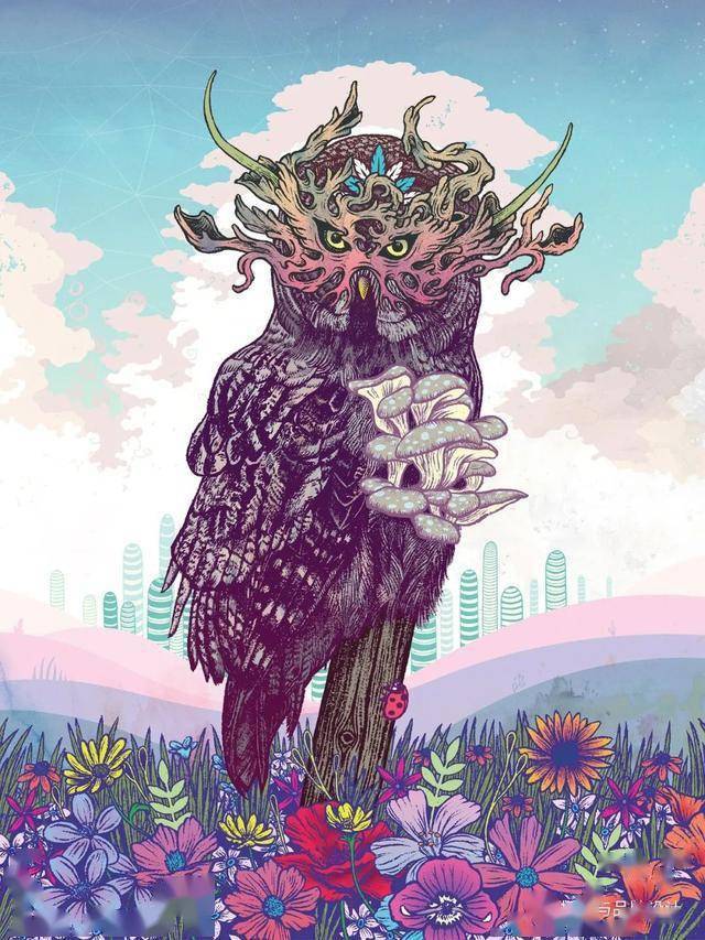 插画丨密恐慎入细节控大佬的迷幻世界